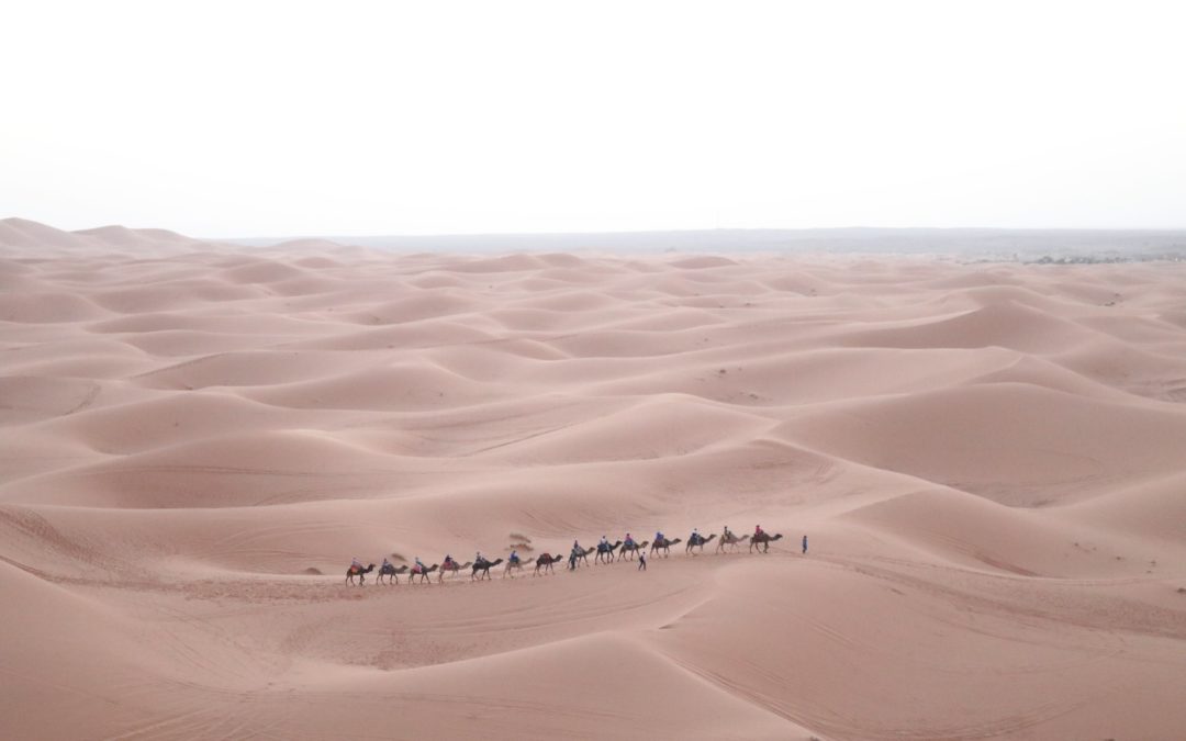 Dans les dunes